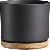 Oslo Pot with Wood Base - Black