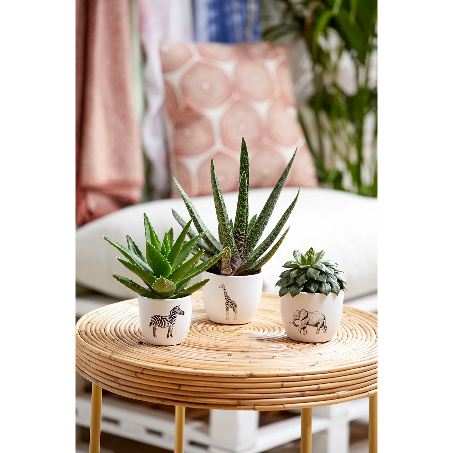 Safari Club Pot - White