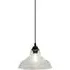 Fiora E27 Pendant Light - Clear Glass