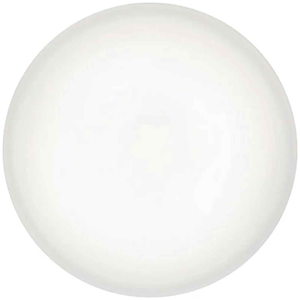 LED Medium Dual Tone 12W Ceiling Light - White