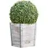 Solar Powered Pre-Lit Artificial Topiary - Silver