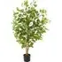 Fida 120cm Artificial Ficus Tree in Pot - Green