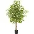 Fida 160cm Artificial Ficus Tree in Pot - Green