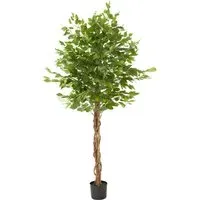 Fida 180cm Artificial Ficus Tree in Pot - Green