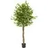 Fida 180cm Artificial Ficus Tree in Pot - Green