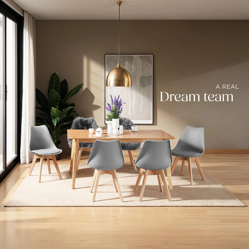 Frederikke Set of 4 Ergonomic Dining Chairs - Grey