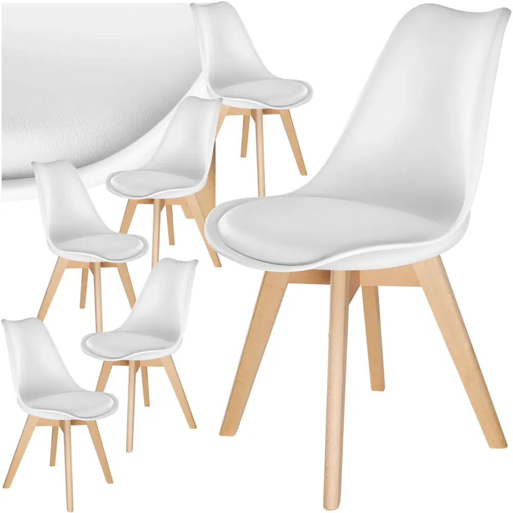 Frederikke Set of 6 Ergonomic Dining Chairs - White