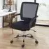 Star Mesh Office Chair with Armrests - Black
