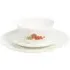 12 Piece Autumn Speckle Dinner Set - White
