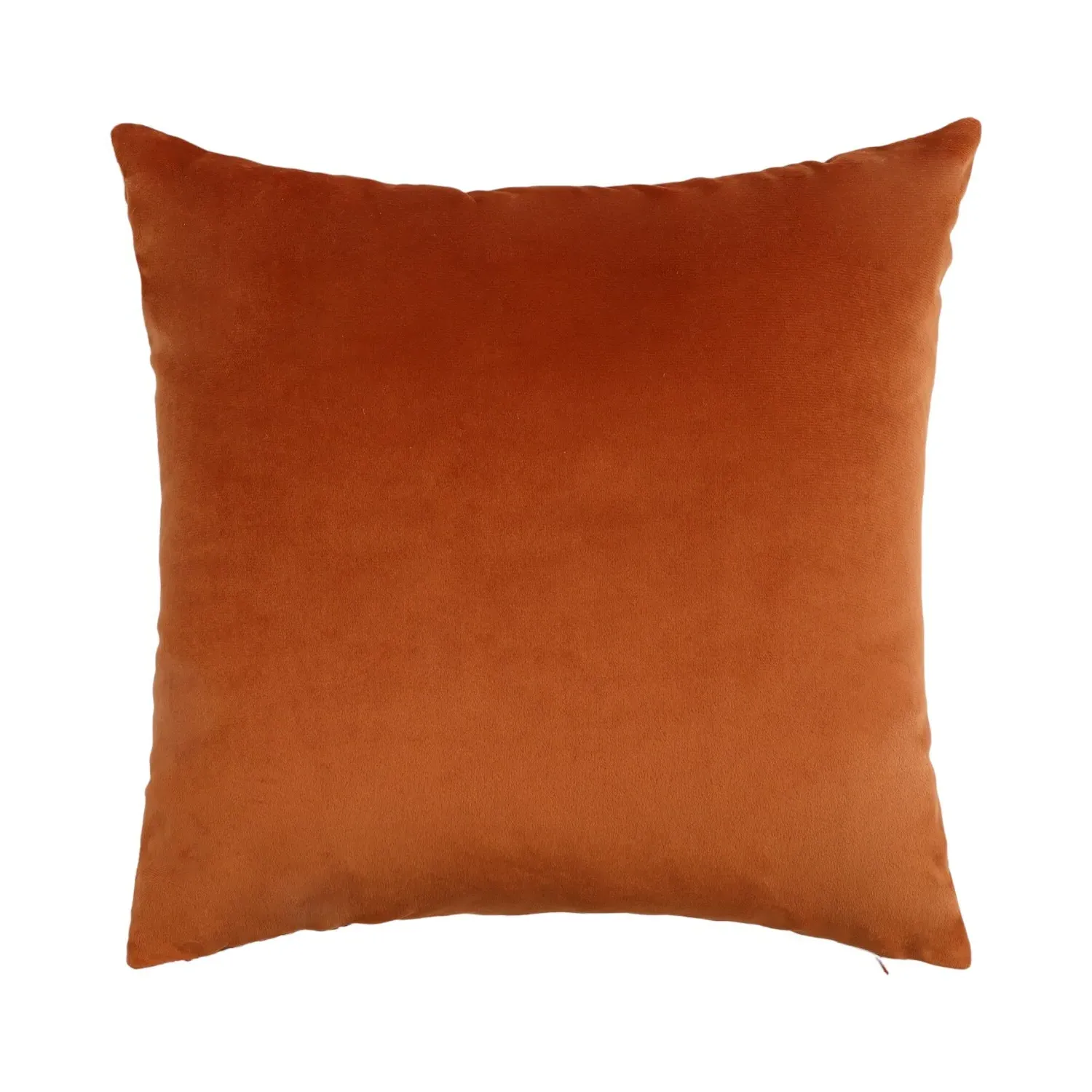 Hazel Embroidered Cushion - Rust