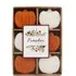 Pumpkin Wax Melts - Orange