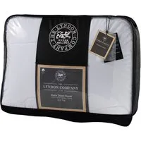 Double Duck Down Duvet 13.5 Tog - White