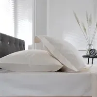 Standard Pillowcase 2 Pack - Cream, Cotton