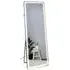 Bright LED Standing Dress Mirror