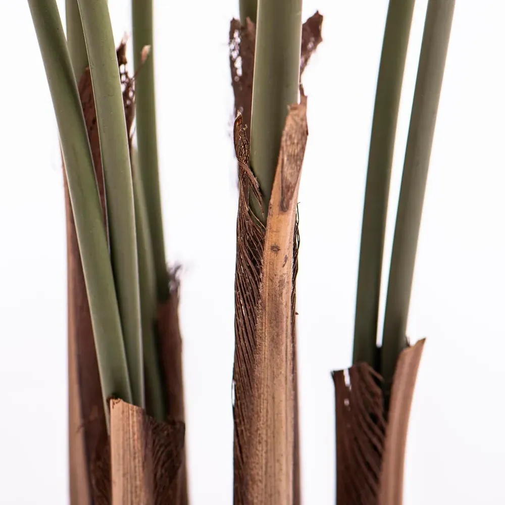 Garden Gear Artificial Palm Tree in Pot - Green