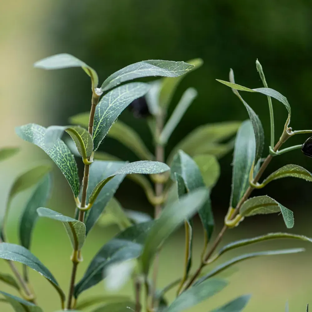 Thompson and Morgan Artificial Olive Tree - Green