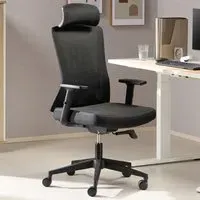 Oxford Plus Mesh Office Chair with Headrest - Black