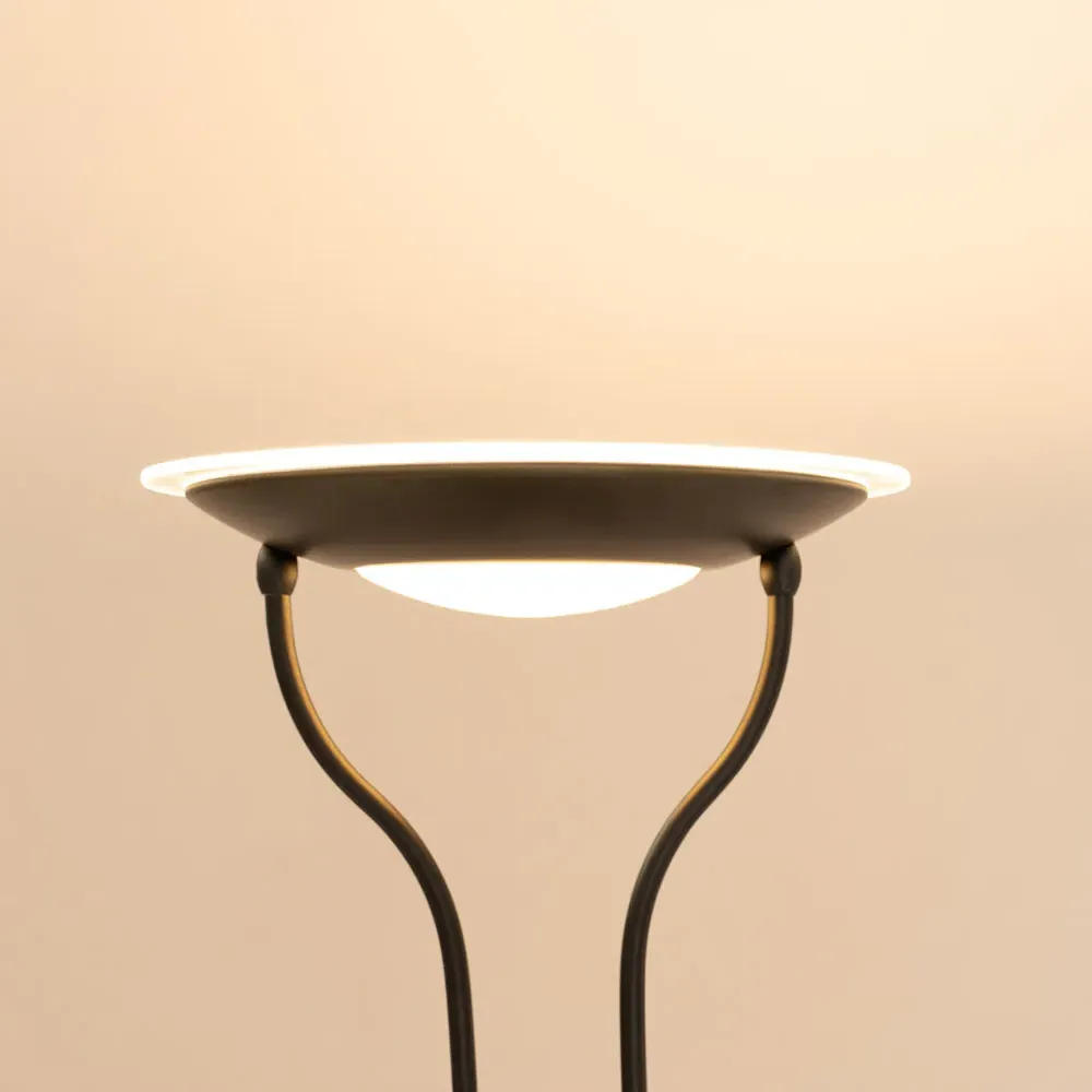 Beata 2 Way Dimmable LED Floor Lamp - Matte Black