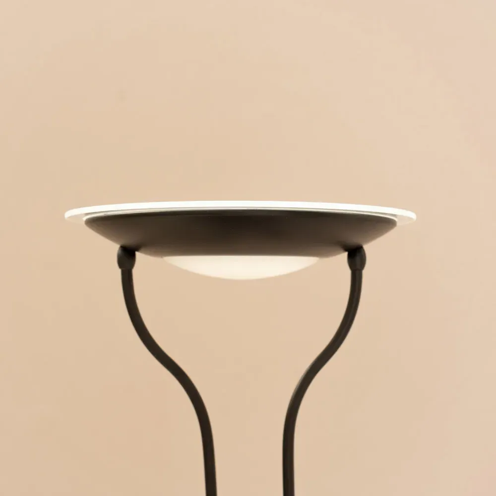 Beata 2 Way Dimmable LED Floor Lamp - Matte Black