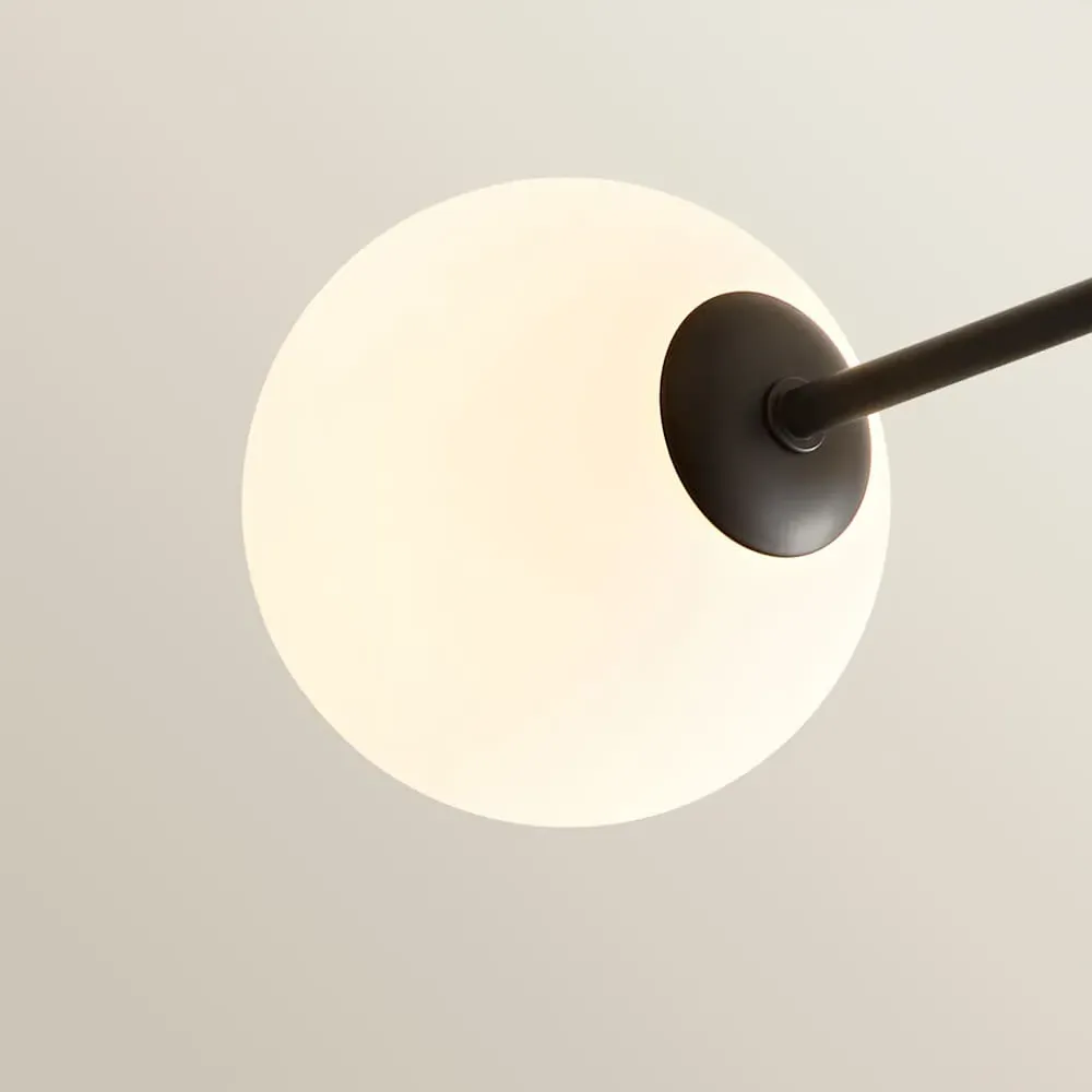 Darla 4 Way Ceiling Light with Bulbs - Black, Frosted Glass