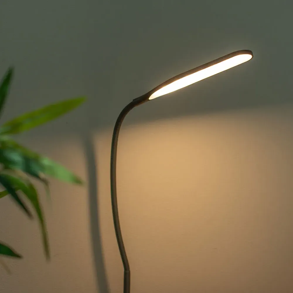 Daylight Clamp LED Desk Lamp with Adjustable Neck - Black