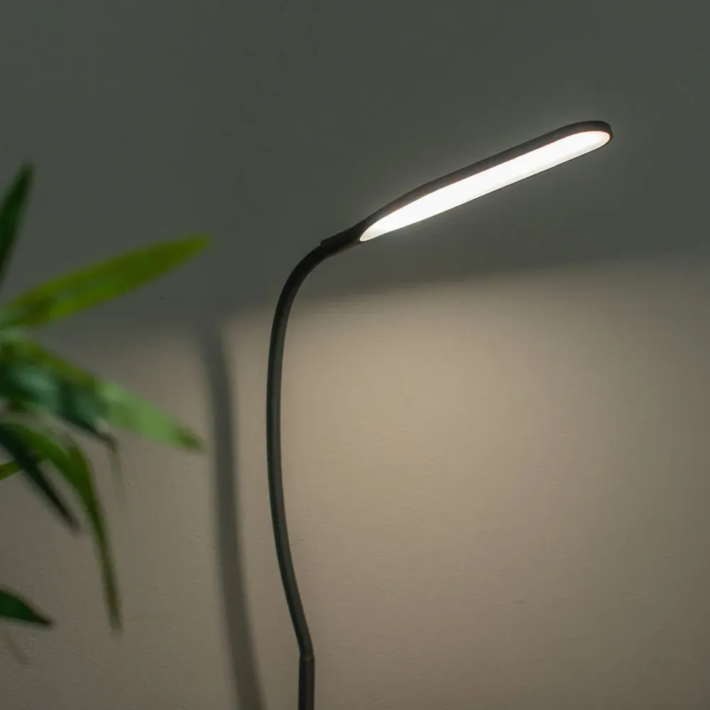 Daylight Clamp LED Desk Lamp with Adjustable Neck - Black