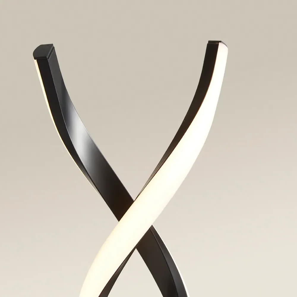 Infinity Double Twist LED Floor Lamp - Black