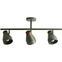 Parker 3 Way Ceiling Light with Bulbs - Green, Walnut