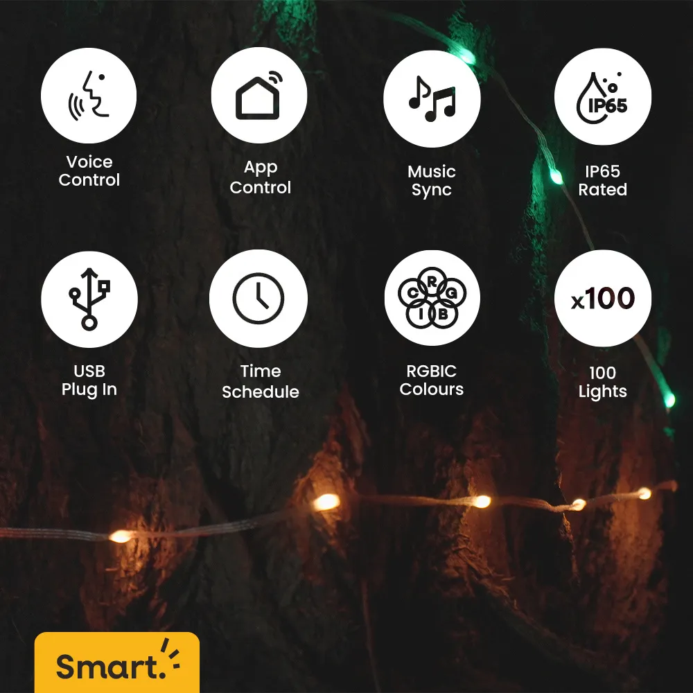 Smart App-Control RGBIC String Rope Light 10m - White