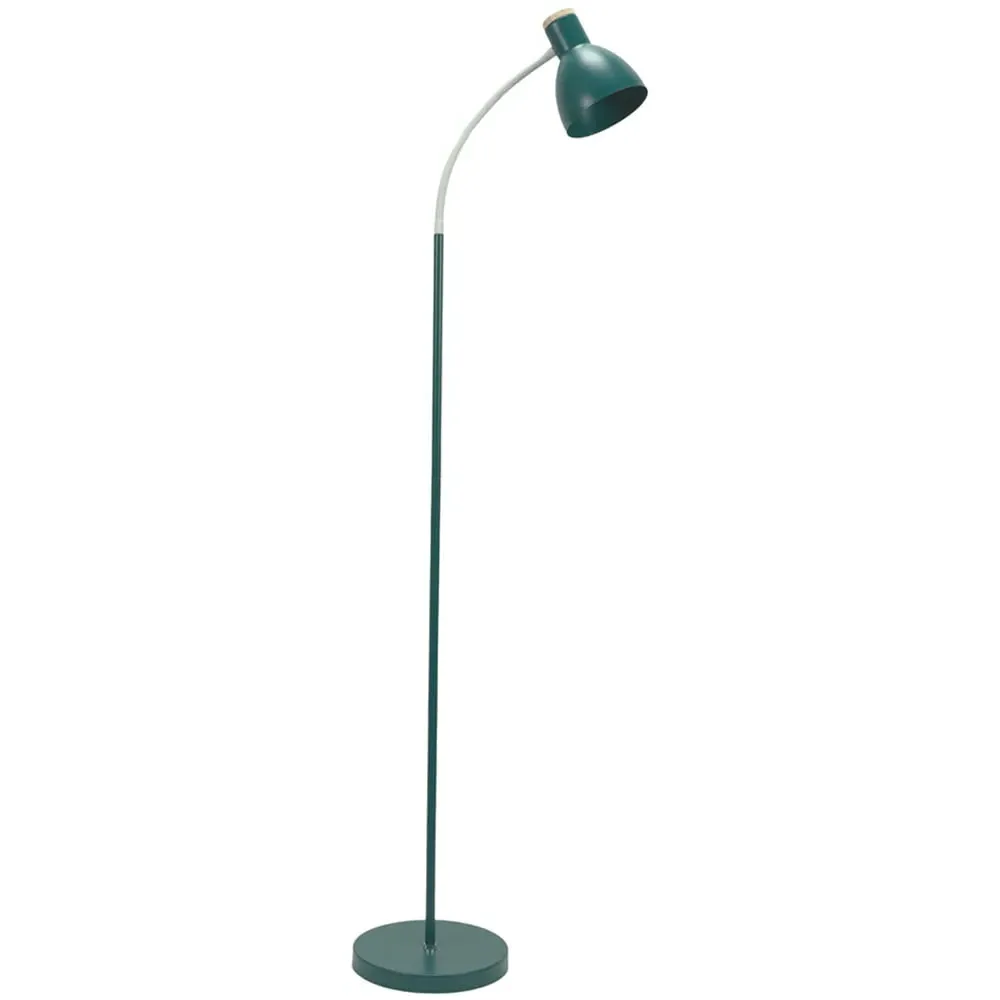 Woody Dome Shade LED Floor Lamp - Teal, Metal