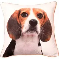 Charles Printed Filled Cushion 43x43cm 2 Pack