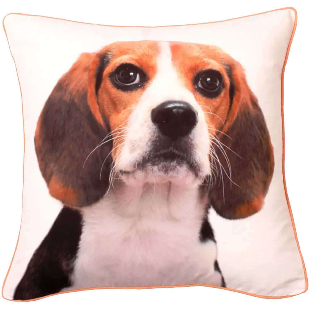Charles Printed Filled Cushion 43x43cm 2 Pack image