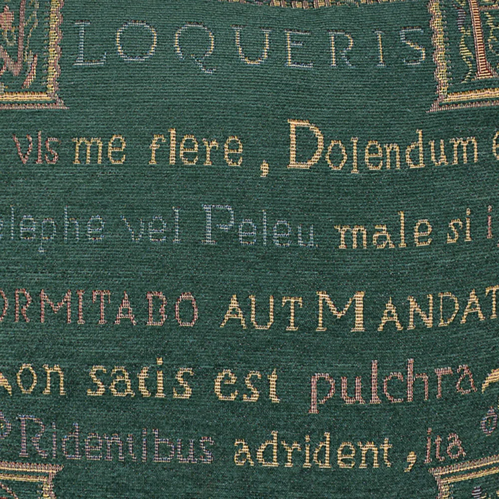 Expressions Loquerius Filled Cushion 2 Pack - Green