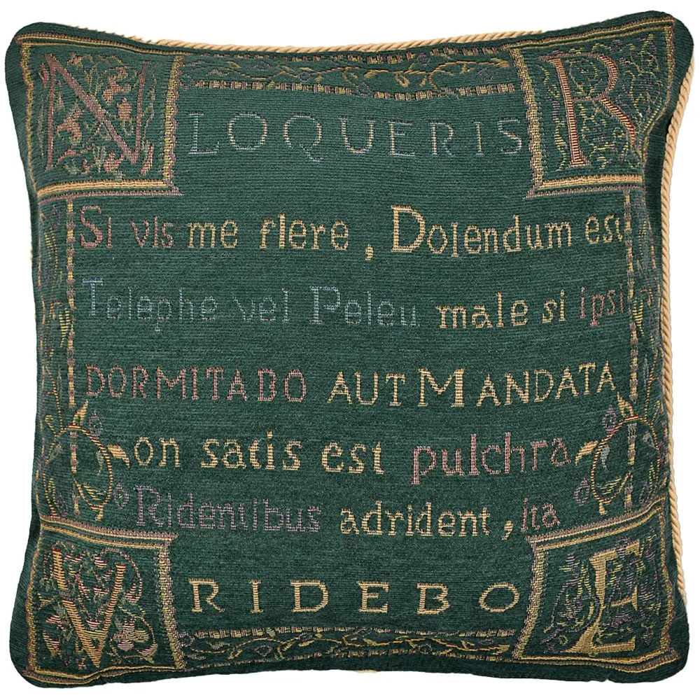 Expressions Loquerius Filled Cushion 2 Pack - Green image