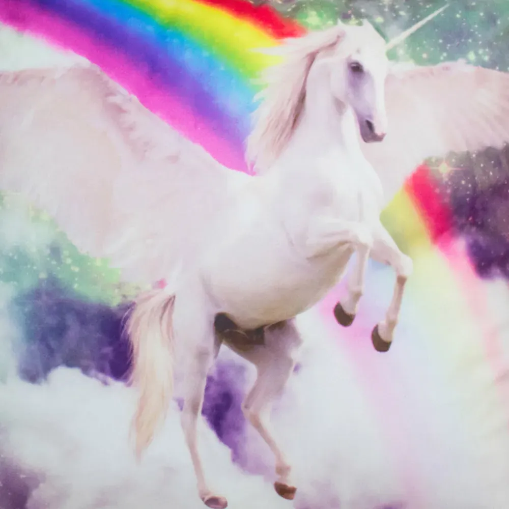 Flying Unicorn Rainbow Filled Cushion 2 Pack - Multi