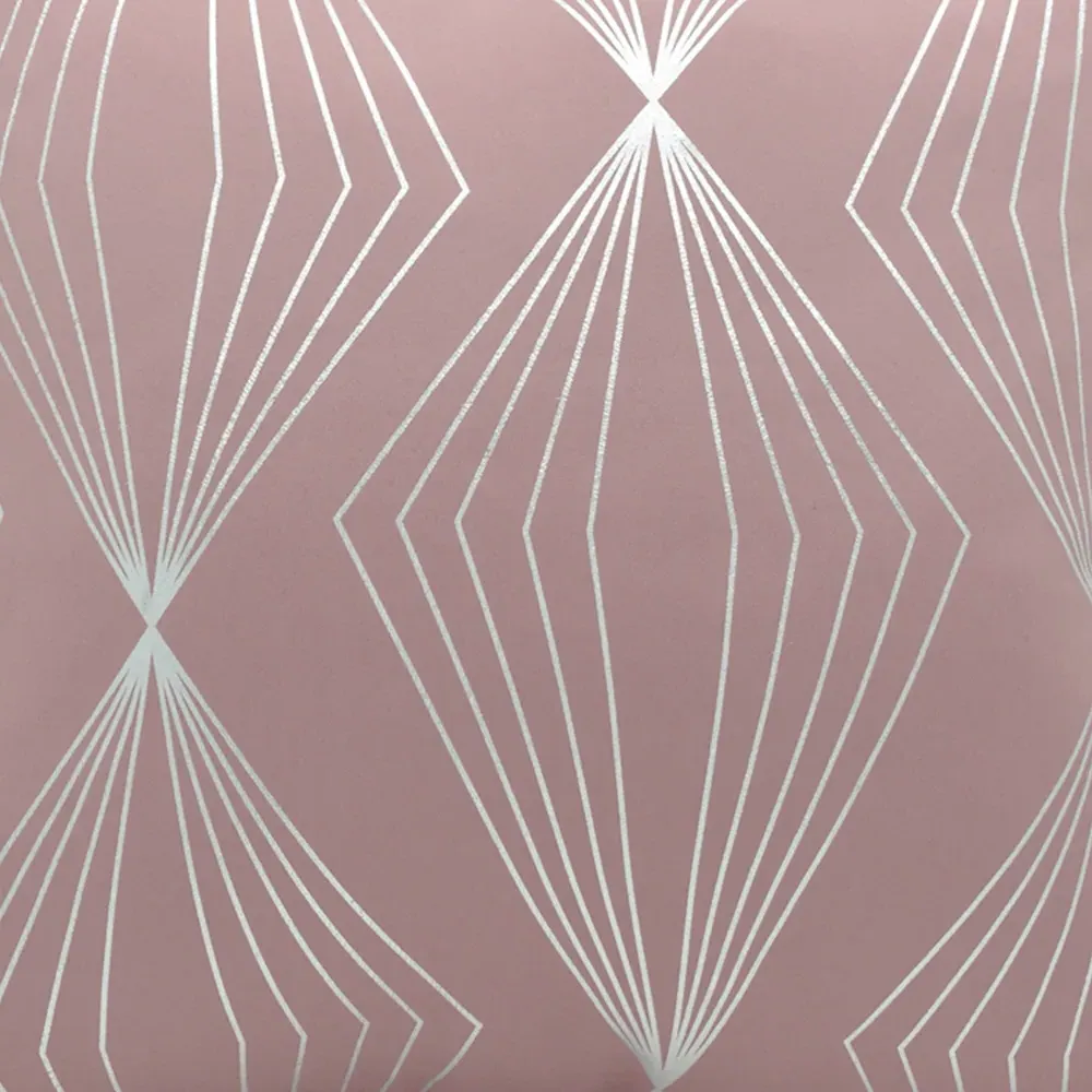 Onyx Filled Cushion 2 Pack - Pink, Polyester