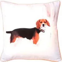 Ralph Printed Filled Cushion 43x43cm 2 Pack