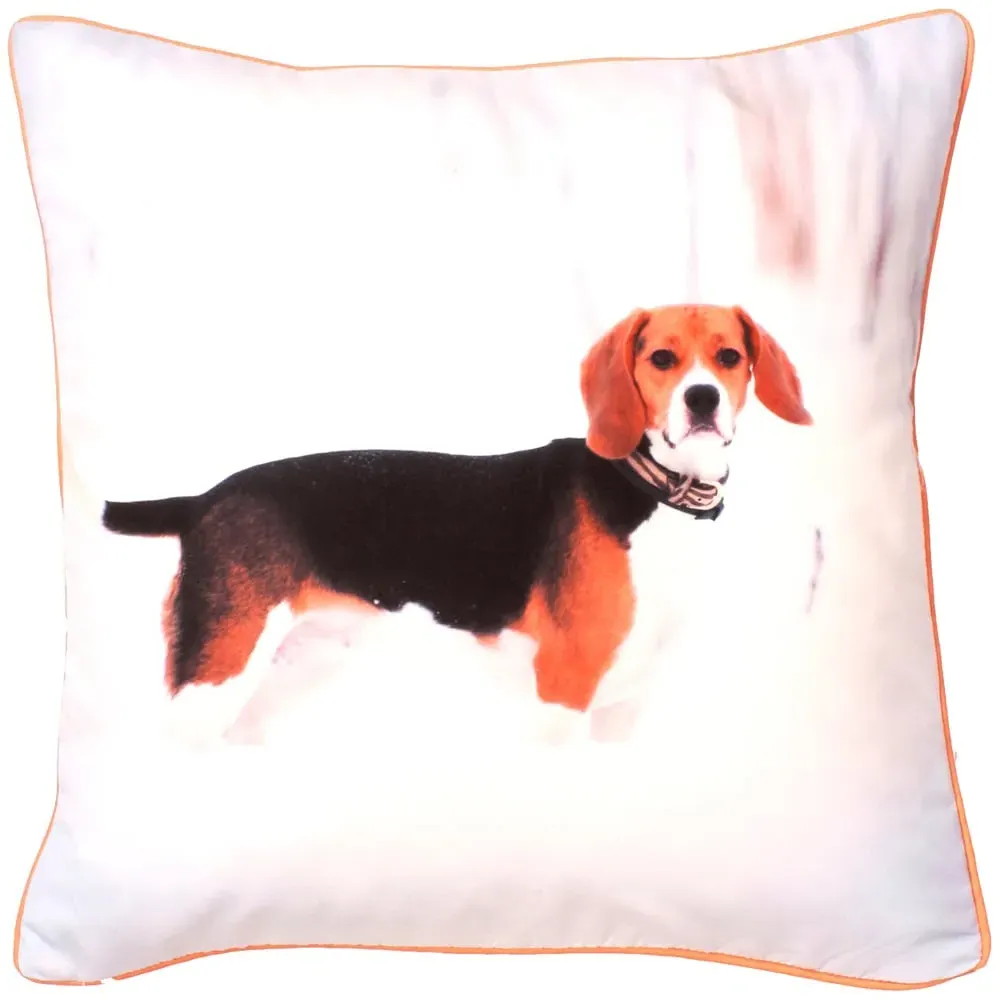 Ralph Printed Filled Cushion 43x43cm 2 Pack
