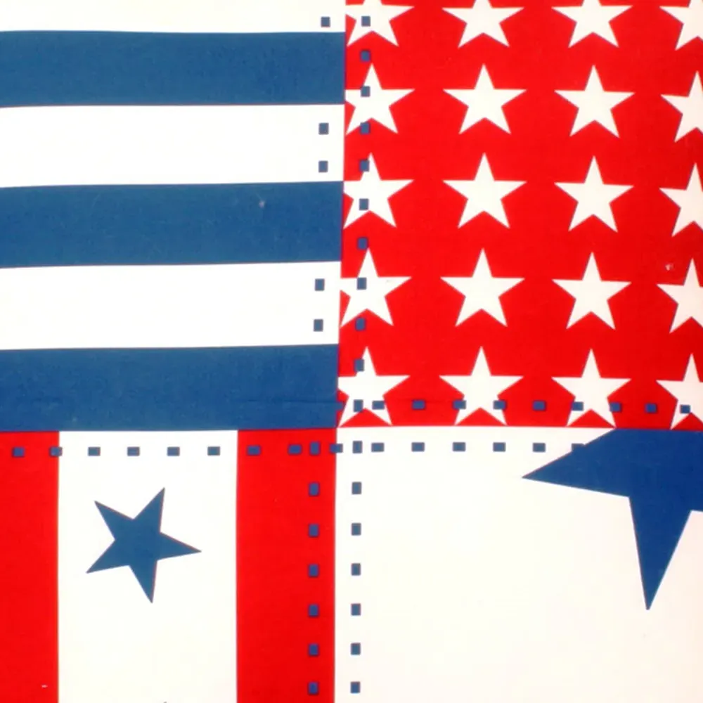 Star and Stripe Printed Filled Cushion 43x43cm 2 Pack