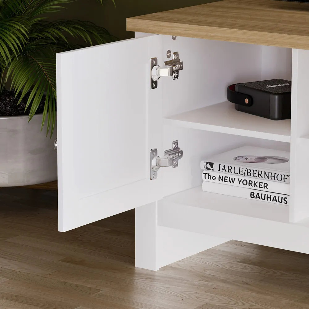 Arlington Single Door TV Unit with Storage - White