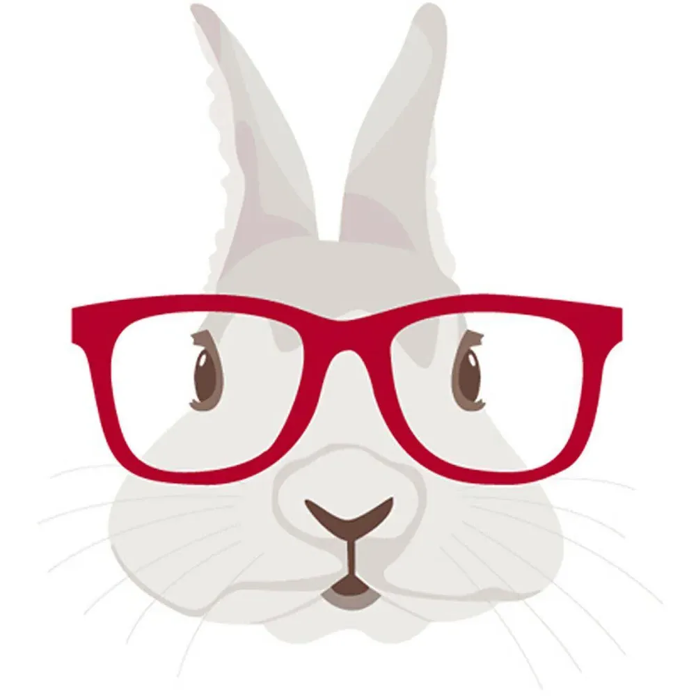 Framed Rabbit Canvas Art Print - Multi