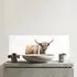 Warren Reed Highland Cow Watercolour Bathroom Splashback - Multi