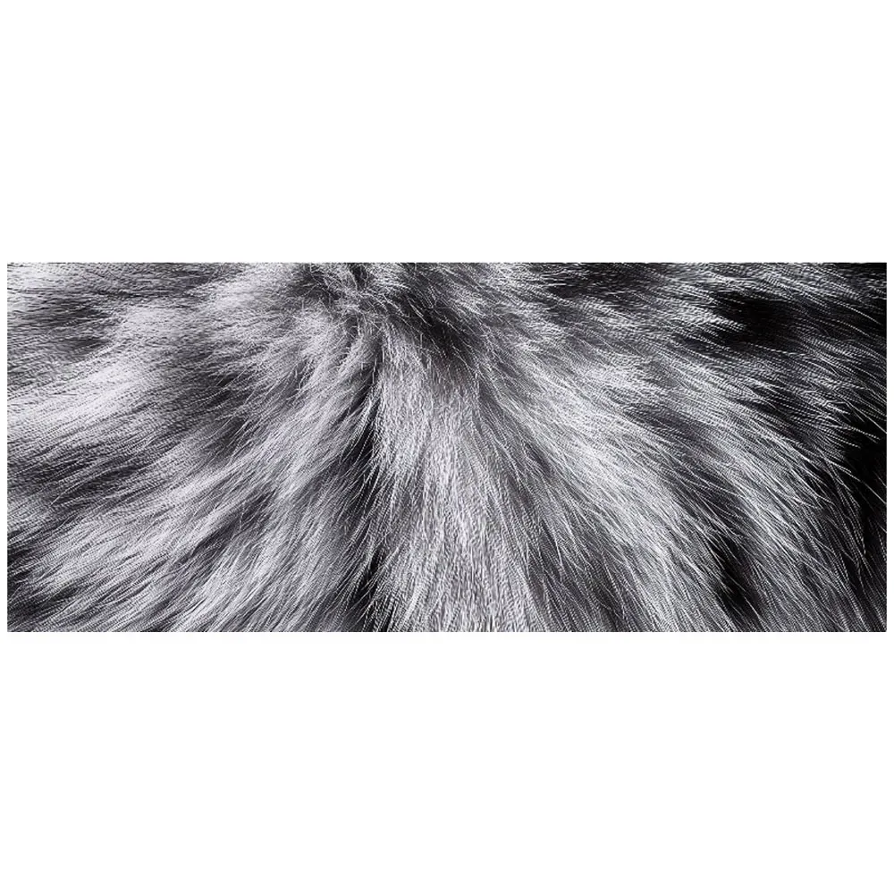 Warren Reed Silver Tabby Cat Print Bathroom Splashback - Multi