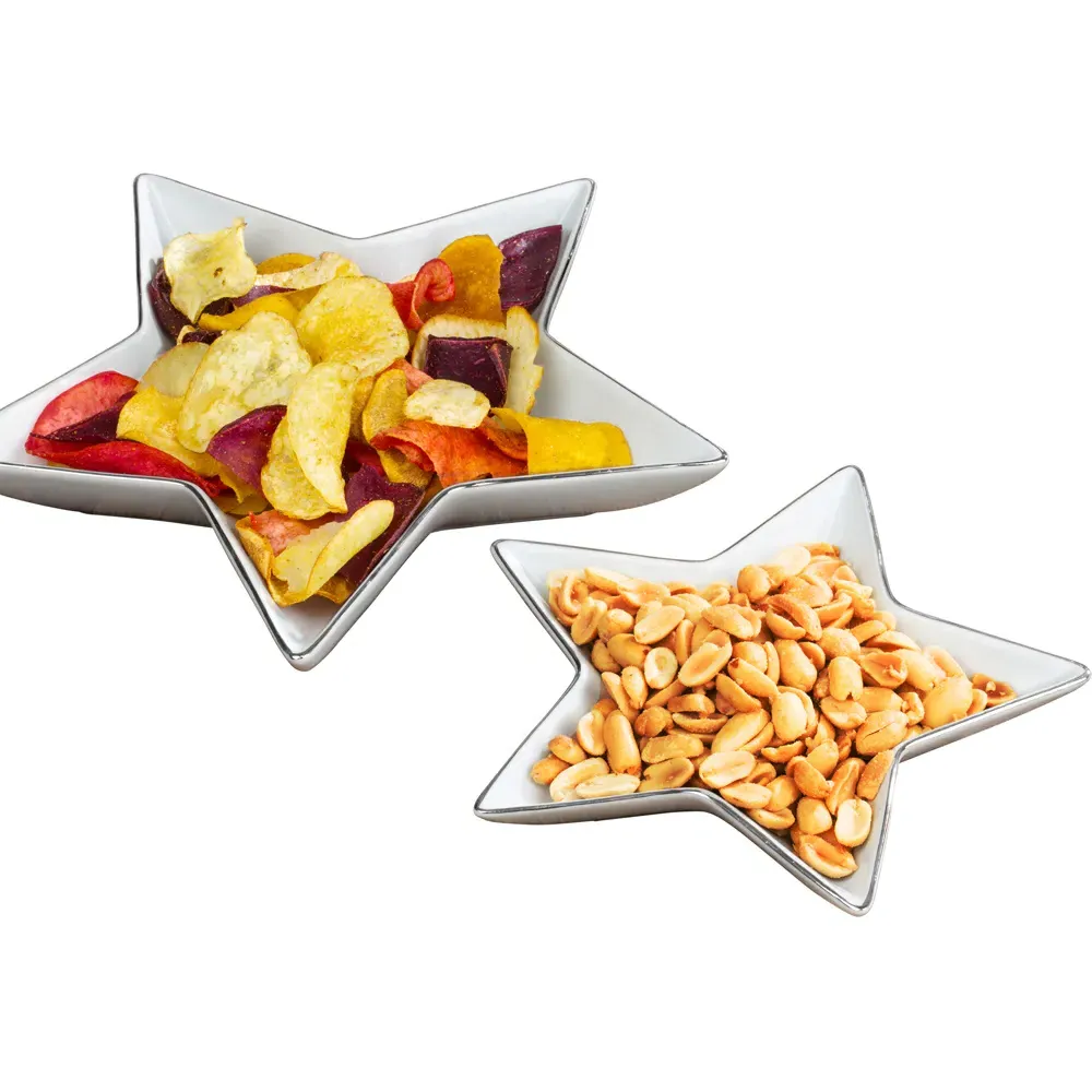 Set of 2 Star Plates with Platinum Rim - White
