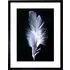 Black and White Bird Feather Photo Framed Wall Art Print
