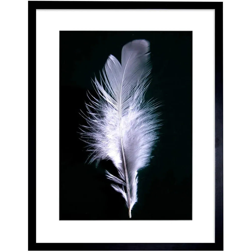 Black and White Bird Feather Photo Framed Wall Art Print image