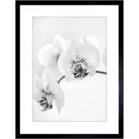 Black and White Orchid Flower Framed Wall Art Print - White