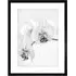 Black and White Orchid Flower Framed Wall Art Print - White