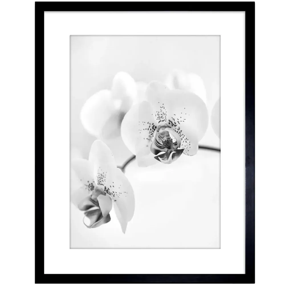 Black and White Orchid Flower Framed Wall Art Print - White image