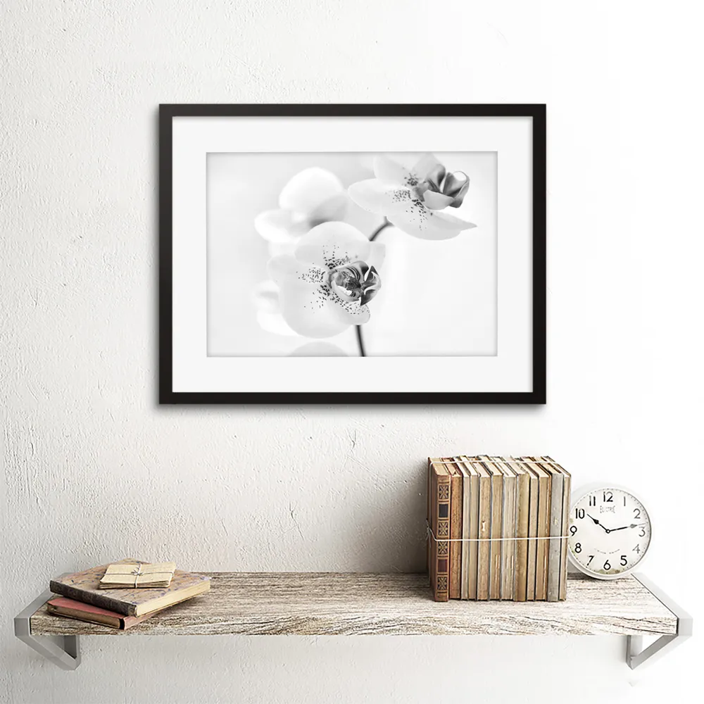 Black and White Orchid Flower Photo Framed Wall Art Print - White